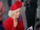 Camilla Parker Bowles in den Royal-News: Mit ihrem Zitterauftritt im walisischen Parlament brach Herzogin Camilla das Protokoll. (Foto)
