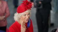 Camilla Parker Bowles in den Royal-News: Mit ihrem Zitterauftritt im walisischen Parlament brach Herzogin Camilla das Protokoll.