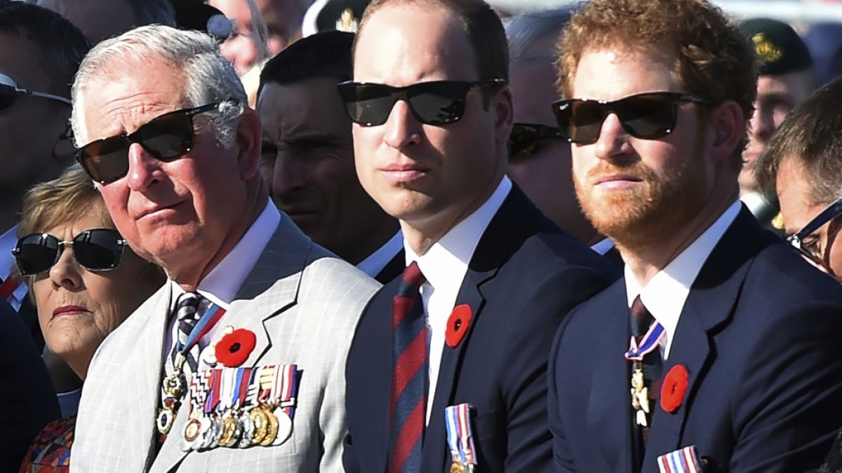 Mag Prinz Charles seinen Sohn William lieber als Harry? (Foto)