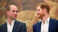 Adelskenner schöpfen neue Hoffnung: Ist die Versöhnung von Prinz William und Prinz Harry zum Greifen nah?