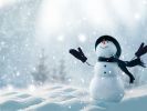Wie soll das Wetter im Winter werden und wie hoch sind die Chancen auf weiße Weihnachten? (Foto)