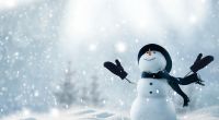 Wie soll das Wetter im Winter werden und wie hoch sind die Chancen auf weiße Weihnachten?