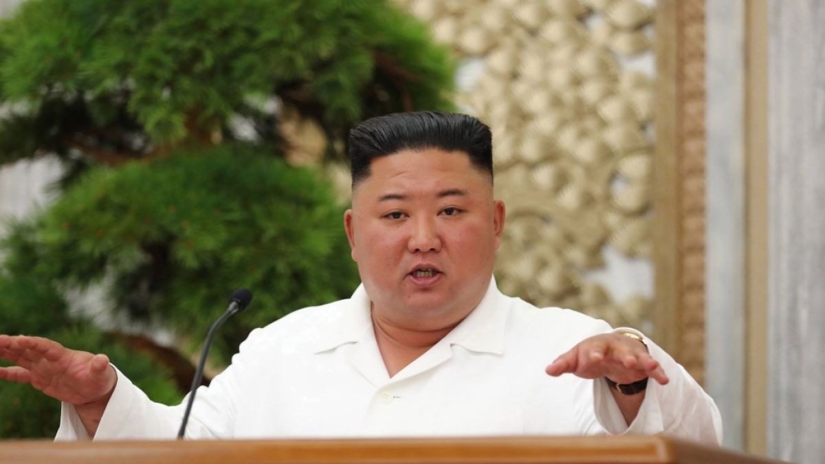 Kim Jong-un soll jetzt Schwarze Schwäne verspeisen. (Foto)