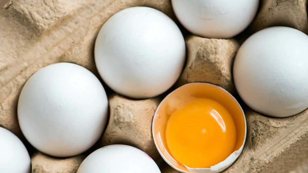 Im Oktober 2021 werden Eier zurückgerufen, die in Norddeutschland verkauft wurden und mit Salmonellen belastet sein könnten. (Foto)