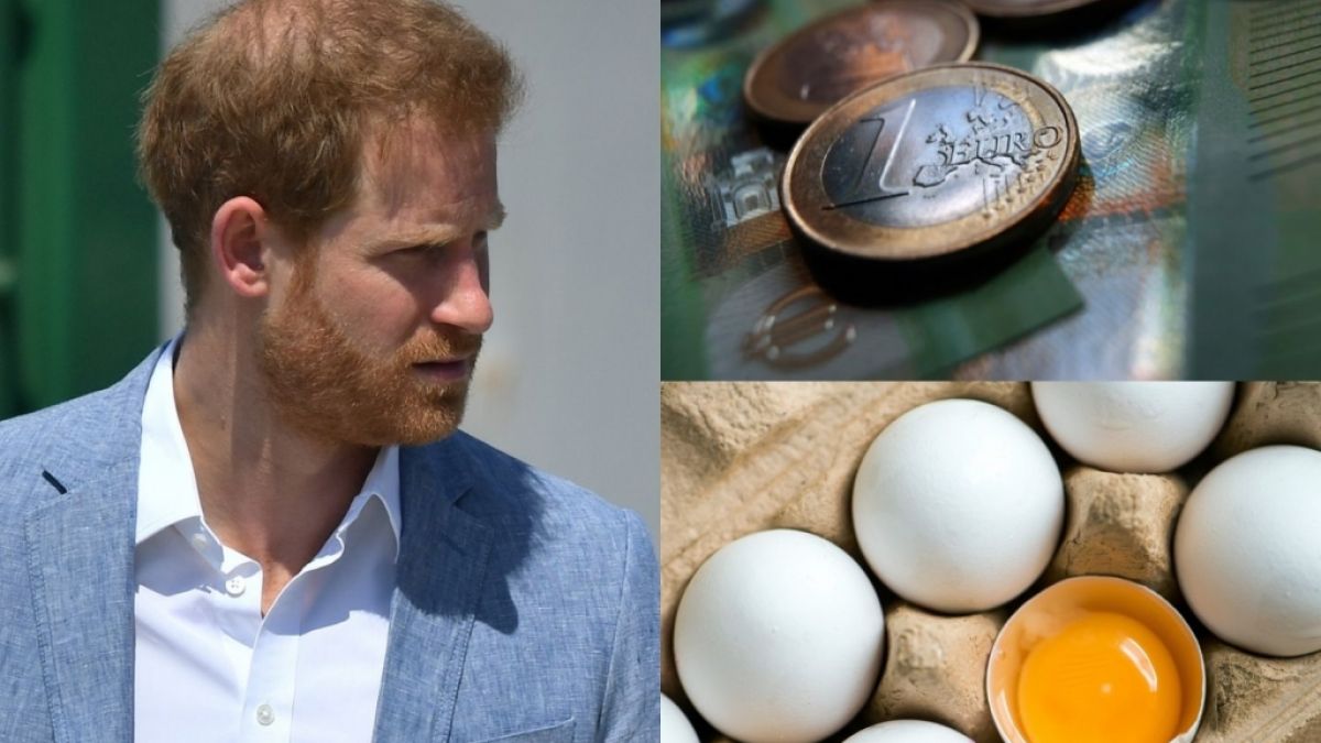 Die News des Tages am 31.10.2021 zu Prinz Harry, neuen Gesetzen für November 2021 und Eier-Rückruf nach Salmonellen-Alarm. (Foto)