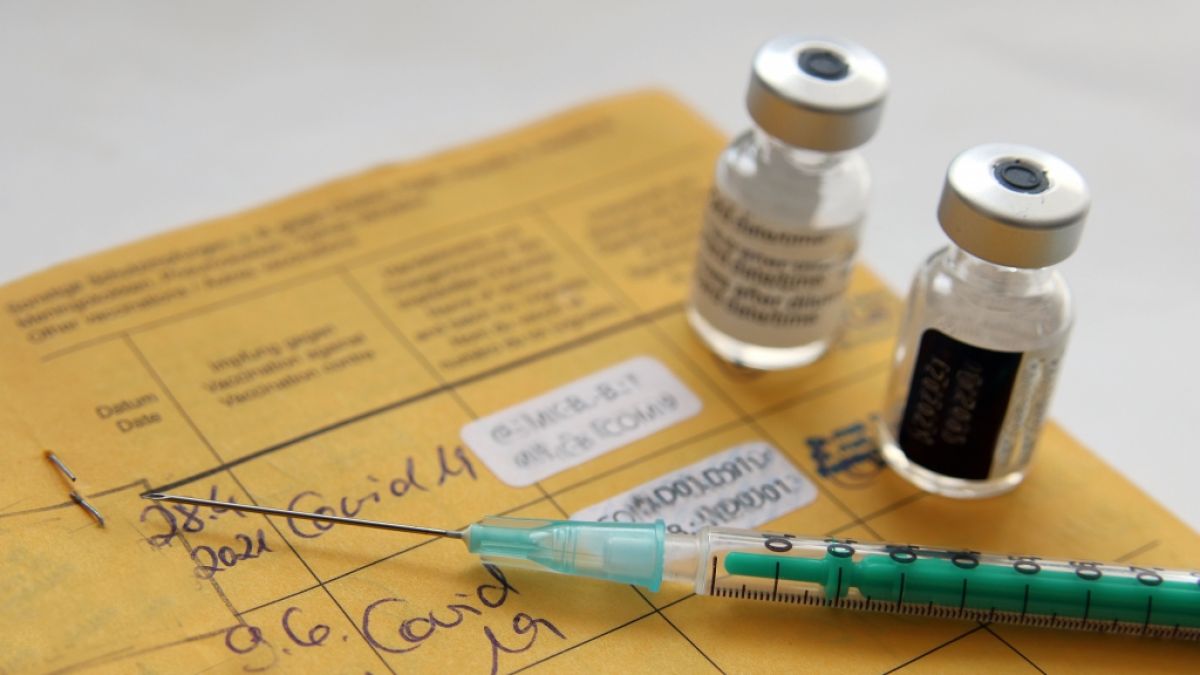 Führt Deutschland eine Impfpflicht ein? (Foto)