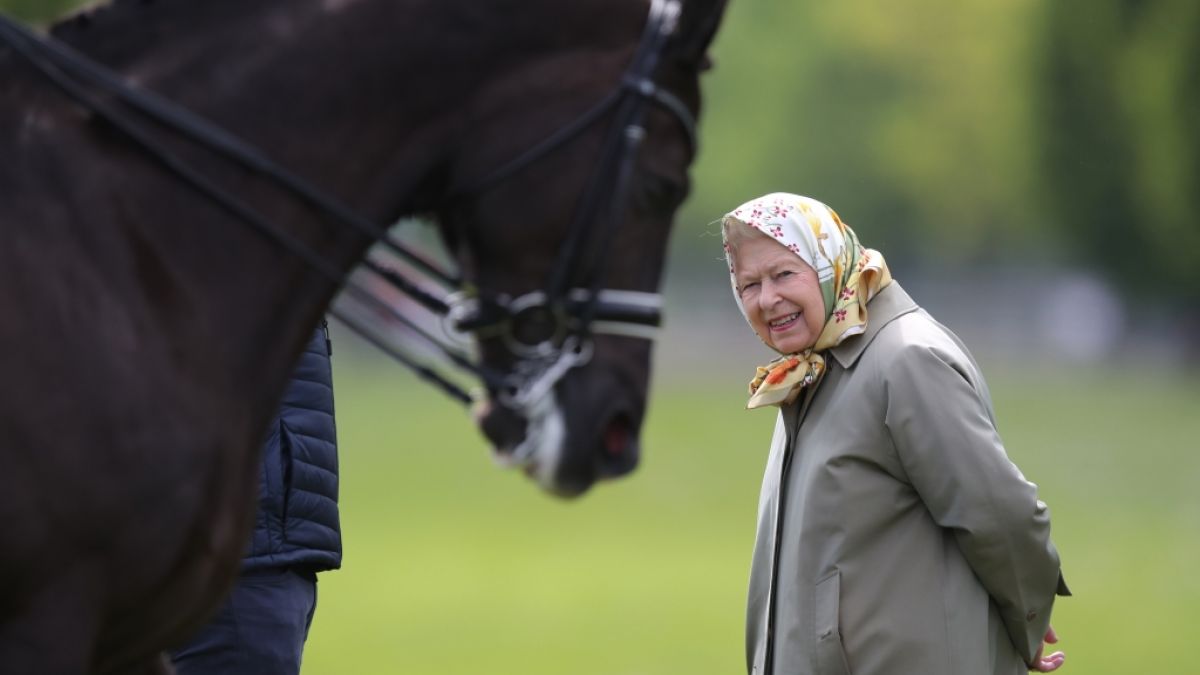 Queen Elizabeth II. liebt ihre Pferde über alles - ein Exemplar hätte sie nach einem peinlichen Furz-Fauxpas allerdings lieber aus dem Stall verbannt. (Foto)