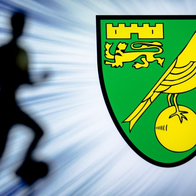 Norwich kassiert Heim-Niederlage im Duell gegen Manchester United