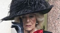 Drama um Herzogin Camilla: Kostet sie 