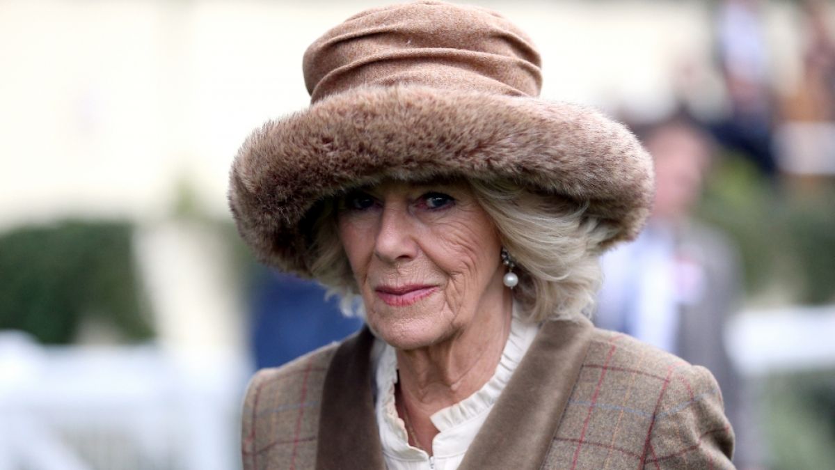 Herzogin Camilla Parker Bowles musste in London getrennt von Prinz Charles glänzen. (Foto)