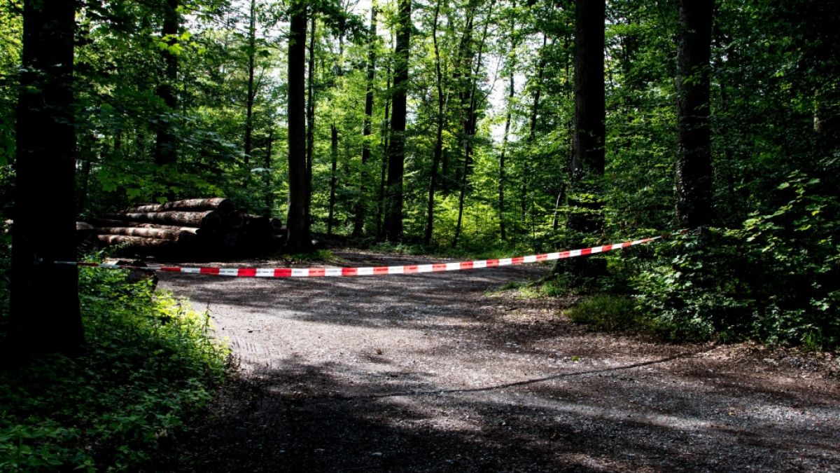 Ein Vater und sein vierjähriger Sohn wurden tot in einem Wald in München gefunden. (Foto)