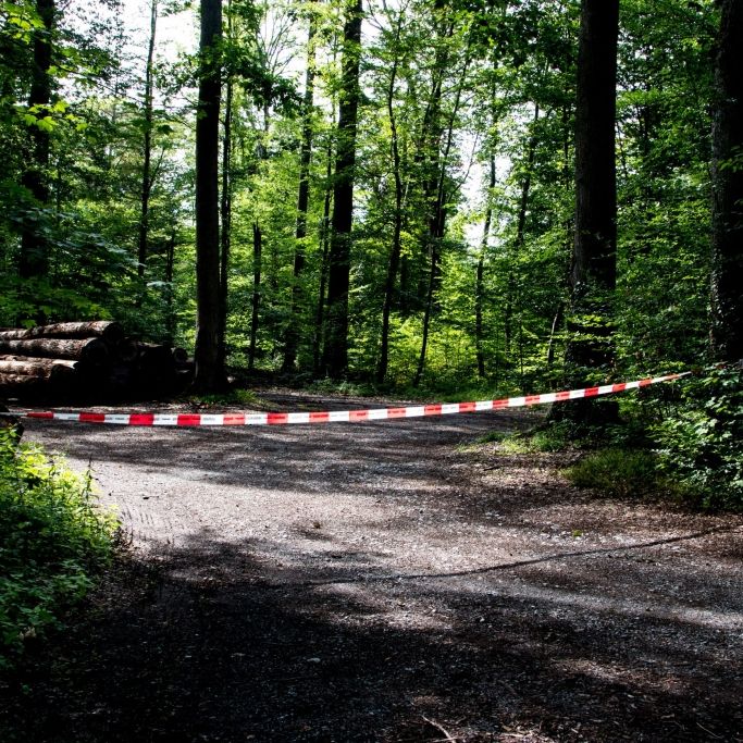 Vater und Sohn (4) tot im Wald entdeckt - Polizei spricht von Tötung und Suizid