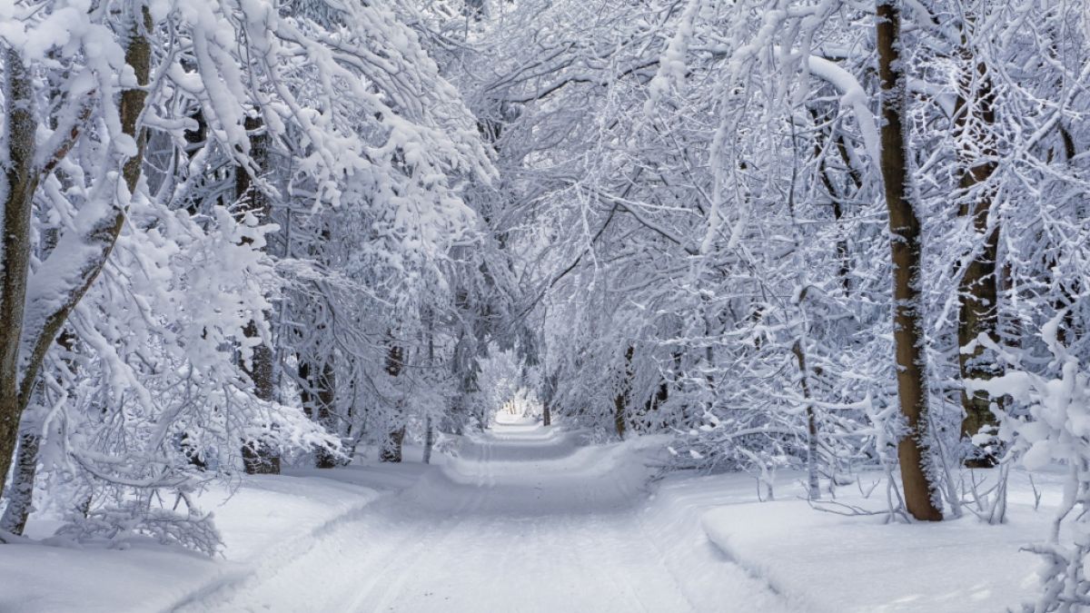Droht uns ein eiskalter Dezember mit jede Menge Schnee? (Foto)