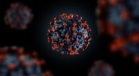 Coronavirus-News aktuell: In Australien ist eine neue Variante der neuen Omikron-Mutation nachgewiesen worden. Was hat es mit der Omikron-Schwester auf sich? 