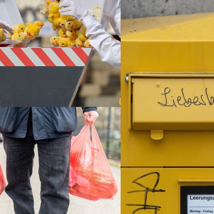 Briefporto, Kükentöten, Plastiktüten, Mindestlohn - Das ändert sich im neuen Jahr