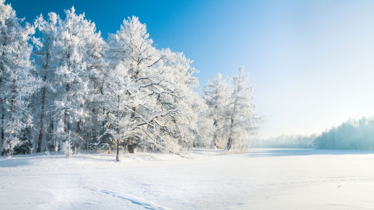 Können wir uns im Januar 2022 auf winterliches Wetter freuen? (Foto)