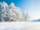 Können wir uns im Januar 2022 auf winterliches Wetter freuen? (Foto)