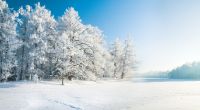 Können wir uns im Januar 2022 auf winterliches Wetter freuen?