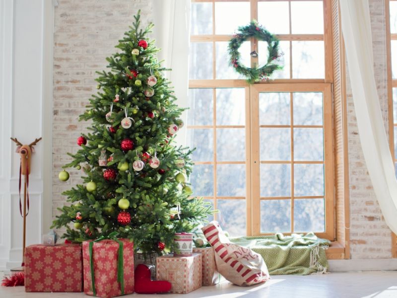 Weihnachtsbaum-Recycling: Aufmotzen statt entsorgen - so landet Ihr Tannenbaum nicht im Müll