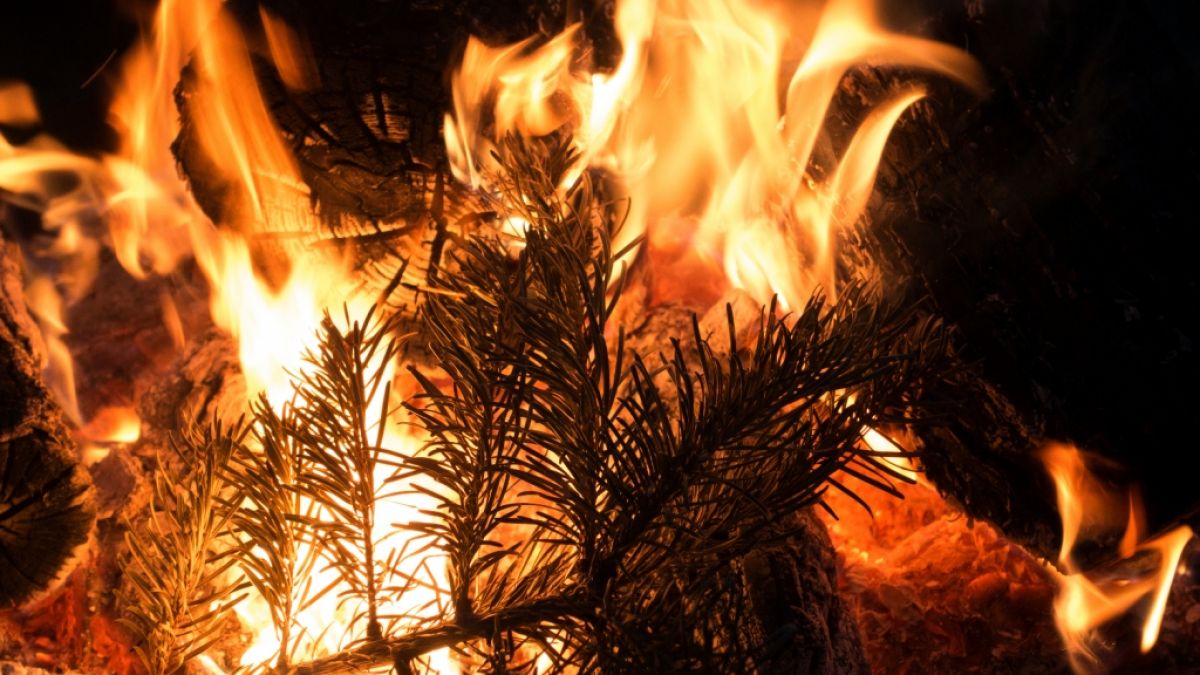 Tragödie an Weihnachten in den USA: Ein Mann und seine zwei Söhne sind bei einem Flammeninferno ums Leben gekommen. (Foto)