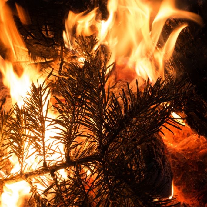 Weihnachtsbaum fängt Feuer! Familie stirbt in Flammen