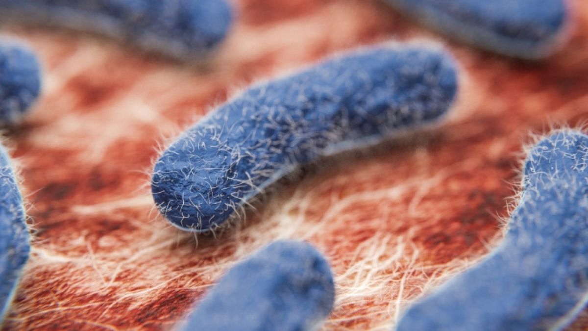 Forscher haben eine mögliche Ursache für die Ausbreitung eines gefährlichen Bakteriums gefunden. (Foto)
