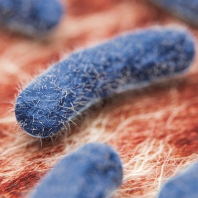 Lebensbedrohliche Infektion! Forscher warnen vor Super-Bakterium
