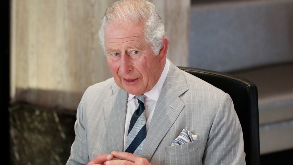 Welche Pläne hegt Prinz Charles bezüglich der Thronfolge? (Foto)