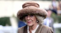 Herzogin Camilla sorgte in den Royal-News mit einem skandalträchtigen Geschenk für Aufsehen.