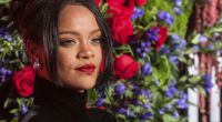 Sängerin und Designerin Rihanna macht ihre Fans im Netz schwach.