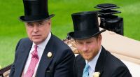 Zum 70. Thronjubiläum von Queen Elizabeth II. droht Prinz Andrew und dessen Neffen Prinz Harry eine Demütigung nach der nächsten.