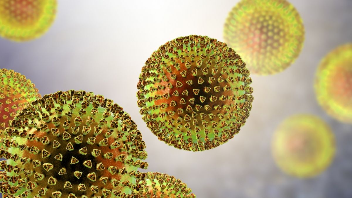 Wissenschaftler haben ein virales Protein entdeckt, das die Immunantwort des Körpers aushebelt. (Foto)
