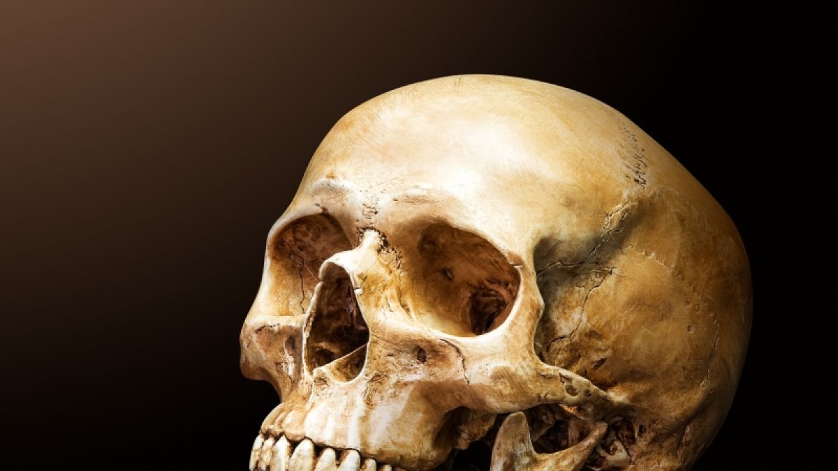 IN Australien haben Unbekannte Schädel und Knochen, für ein satanisches Ritual, aus Gräbern gestohlen. (Symbolfoto) (Foto)