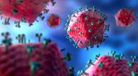Forscher haben eine neue, aggressivere HIV-Virusvariante entdeckt. (Symbolfoto)