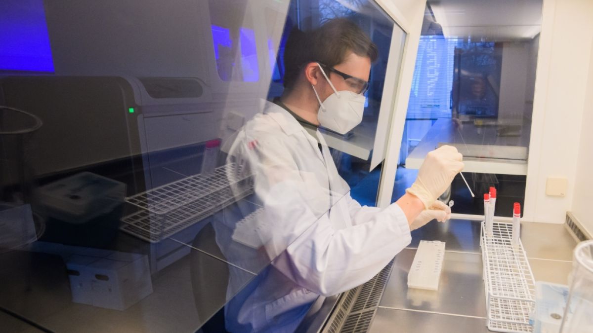 PCR-Tests aus dem Labor gelten als besonders genau beim Nachweis einer Coronavirus-Infektion - den neuen Coronaregeln zufolge hat aber nicht mehr jeder ohne weiteres Anspruch auf einen Gratis-Test. (Foto)