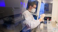 PCR-Tests aus dem Labor gelten als besonders genau beim Nachweis einer Coronavirus-Infektion - den neuen Coronaregeln zufolge hat aber nicht mehr jeder ohne weiteres Anspruch auf einen Gratis-Test.