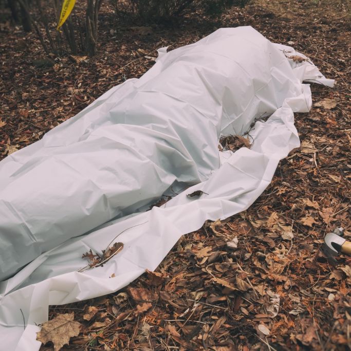 Leiche von vermisstem Model nach 10 Jahren in Grab gefunden