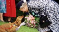 Queen Elizabeth II. hat seit jeher ein Herz für Hunde - doch die Vierbeiner sollten angenehm riechen, um die Königin zu erfreuen.