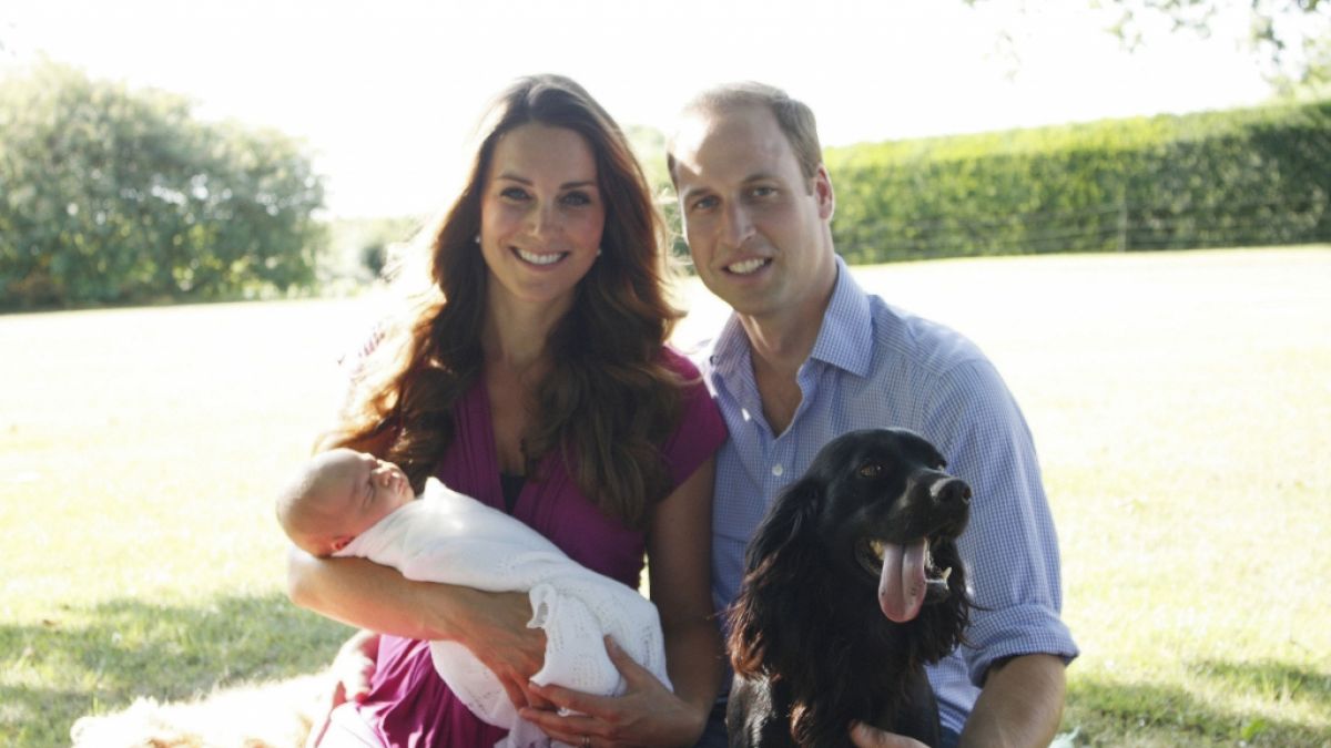 Kate Middleton und Prinz William 2013 gemeinsam mit Baby-Prinz George und dem bereits verstorbenen Familienhund Lupo. (Foto)