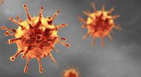 Aktuelle Studien gehen der Frage nach, welche Therapien eine Coronavirus-Infektion schneller ausheilen lassen.