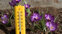 Wird der März trocken und warm?