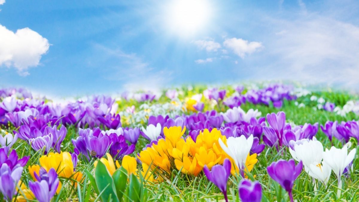 Der Frühling kommt und bringt uns im März schon bis zu 21 Grad. (Foto)