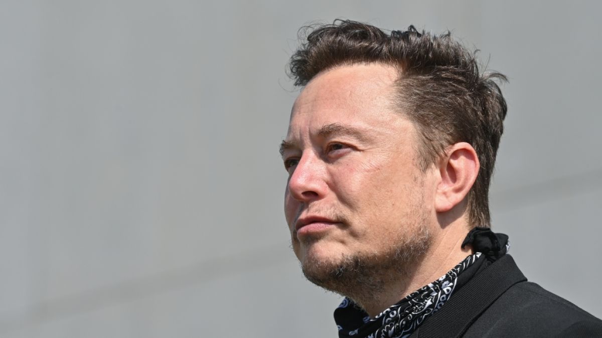 "Der Einsatz ist die Ukraine": Tesla-Boss Elon Musk hat den russischen Präsidenten Wladimir Putin zu einem Zweikampf herausgefordert. (Foto)