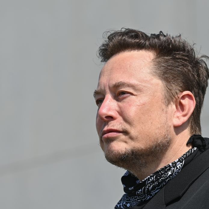 Fäuste raus! Tesla-Boss will mit Kreml-Chef um die Ukraine kämpfen
