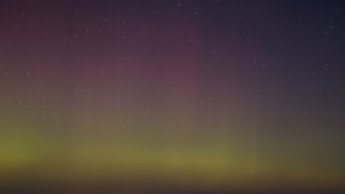 Grün und gelblich schimmern Polarlichter im Havelland. (Foto)