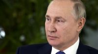 Wladimir Putin lässt angeblich Wälder in der Ukraine abholzen.