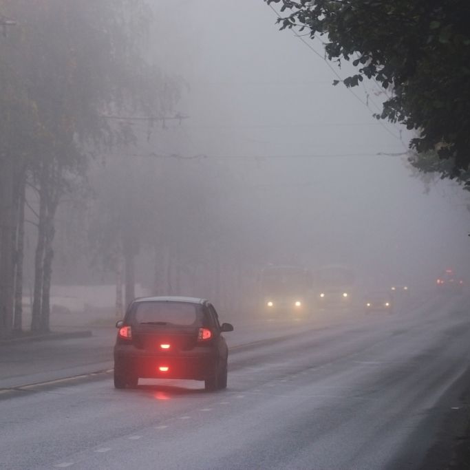 DWD-Wetterwarnung! Gefahr wegen Nebel am Mittwoch