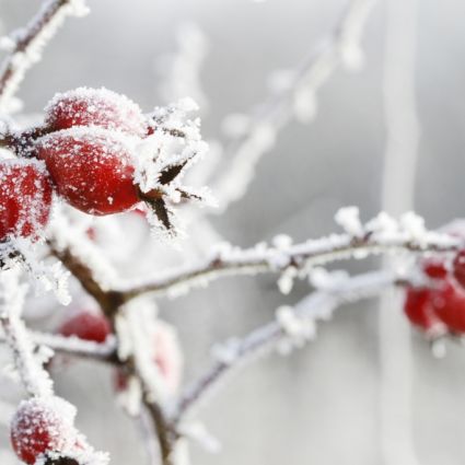 Extremwetter in der Region Lienz