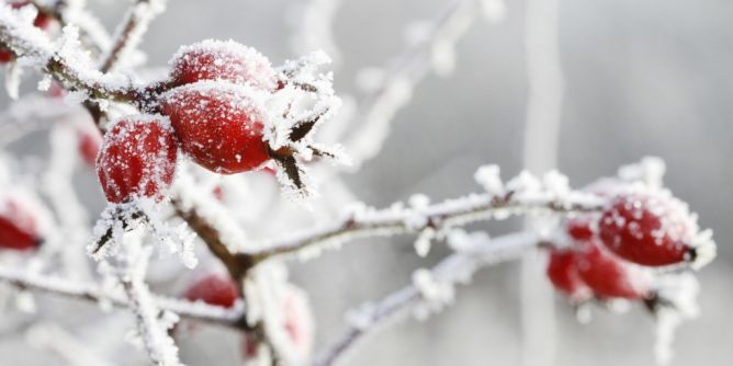 Extremwetter in der Region Kitzbühel