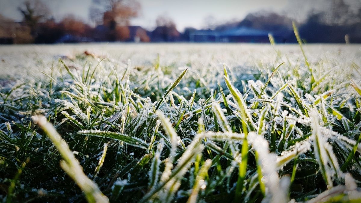Wettervorhersage: Es wird Frost geben. (Foto)